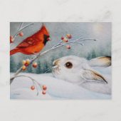 Schneeschuhrabbit und Roter Kardinal Bird - Farbe Postkarte (Vorderseite)
