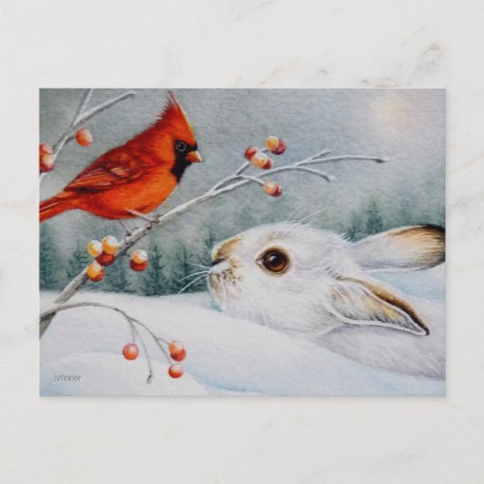 Schneeschuhrabbit und Roter Kardinal Bird - Farbe Postkarte (Vorderseite)