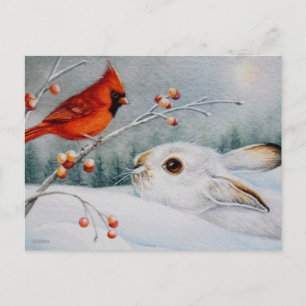 Schneeschuhrabbit und Roter Kardinal Bird - Farbe  Postkarte