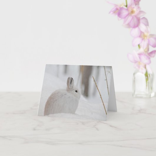 Schneeschuhverleih im Schnee Karte (Orchidee)