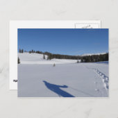 Schneeschuhwandern im Yellowstone-Nationalpark Postkarte (Vorne/Hinten)