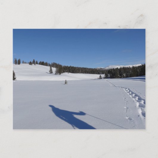 Schneeschuhwandern im Yellowstone-Nationalpark Postkarte (Vorderseite)