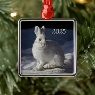 Schneeschuhwandern, Nationalpark Denali, Alaska Ornament Aus Metall