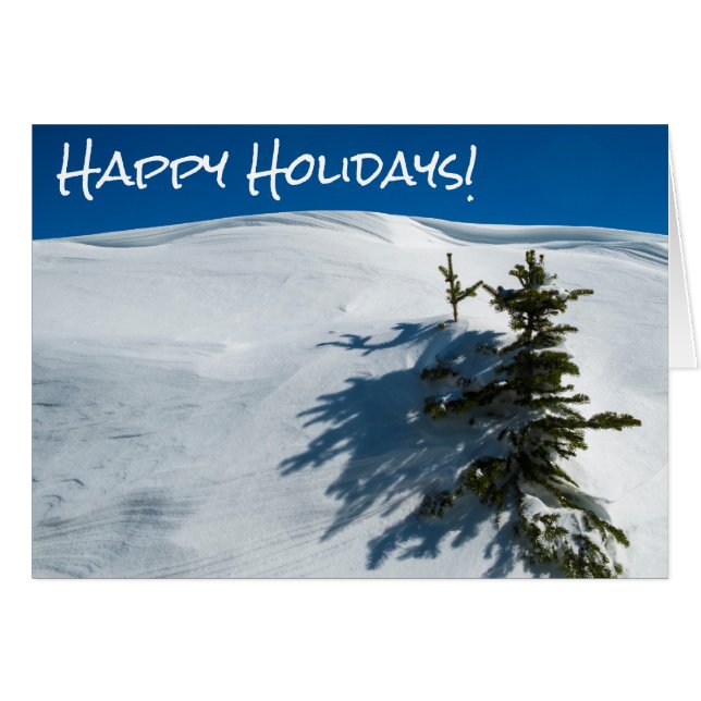 Schneeschwungbaum (Vorderseite (Horizontal))