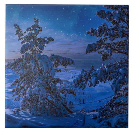 Schneesichere Ostseeküste mit Tannenbaum in der Na Fliese (Vorderseite)