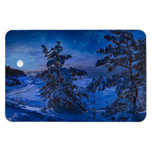 Schneesichere Ostseeküste mit Tannenbaum in der Na Magnet