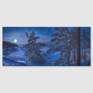 Schneesichere Ostseeküste mit Tannenbaum in der Na Magnetkarte