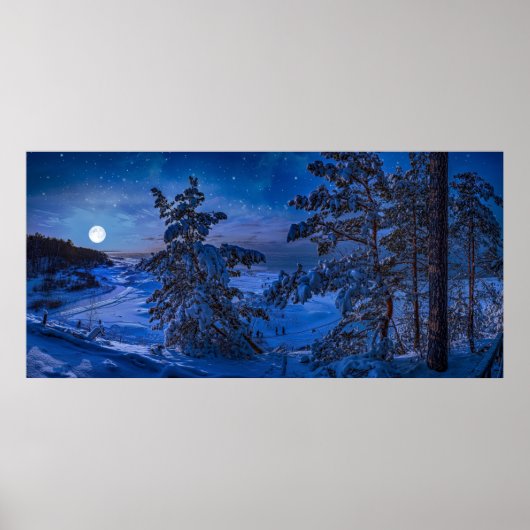 Schneesichere Ostseeküste mit Tannenbaum in der Na Poster (Vorne)