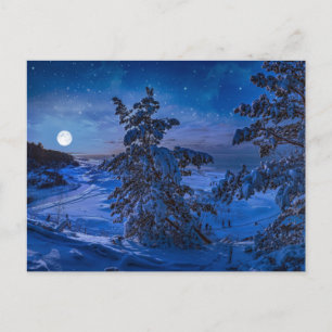 Schneesichere Ostseeküste mit Tannenbaum in der Na Postkarte