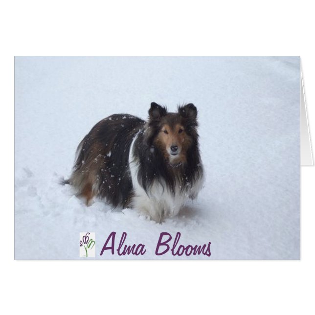 Schneestag (Vorderseite (Horizontal))