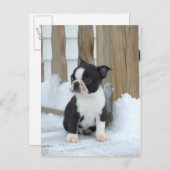 Schneestag Postkarte (Vorne/Hinten)