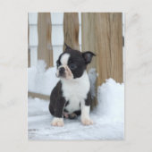 Schneestag Postkarte (Vorderseite)