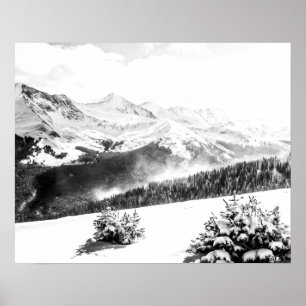 Schneestaub, frisch, schwarz und weiß poster