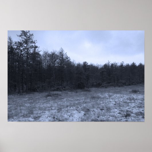 Schneestaub im Moor Poster (Vorne)