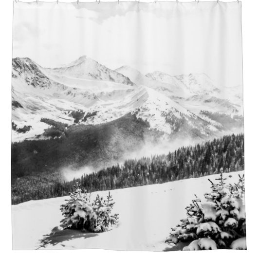 Schneestaube // Schwarz-Weiß Duschvorhang (Vorderseite)