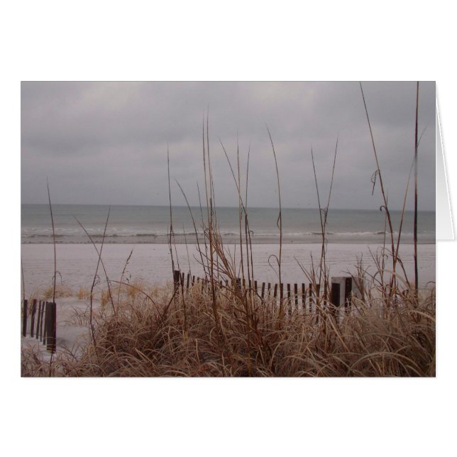 Schneestrand (Vorderseite (Horizontal))