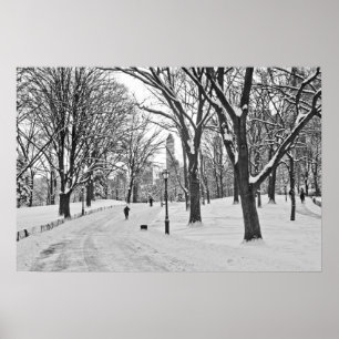 SchneeStroll im Central Park Poster
