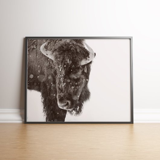 Schneestube American Bison Poster