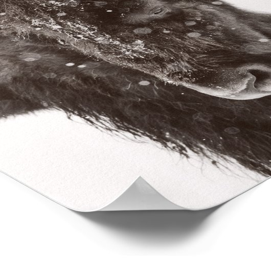 Schneestube American Bison Poster (Ecke)