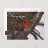 Schneesturm Kardinal denken Sie an Postkarte (Vorne/Hinten)