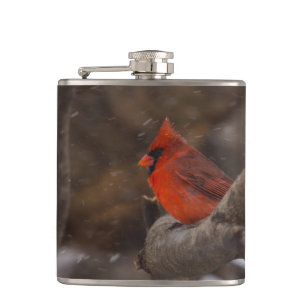 Schneesturm-Kardinal Flachmann