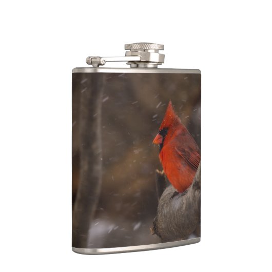 Schneesturm-Kardinal Flachmann (Rechts)