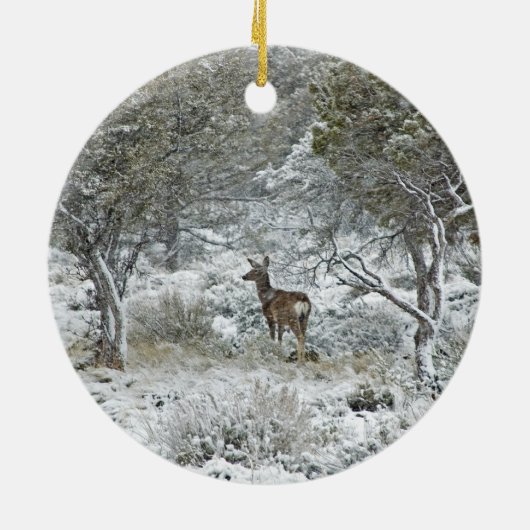 Schneesturm Keramikornament (Hinten)