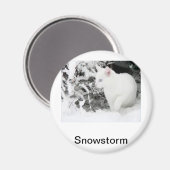 Schneesturm Magnet (Vorderseite/Rückseite)