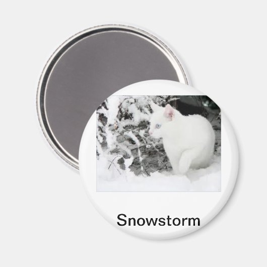 Schneesturm Magnet (Vorderseite/Rückseite)