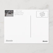 Schneeszene mit niedlichem schwarzem Hund zu Weihn Postkarte (Rückseite)