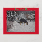 Schneeszene mit niedlichem schwarzem Hund zu Weihn Postkarte (Vorderseite)