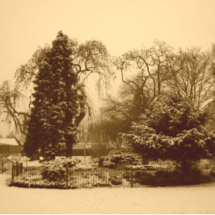 Schneeszene Parklandschaft Original Sepia Foto Pappteller