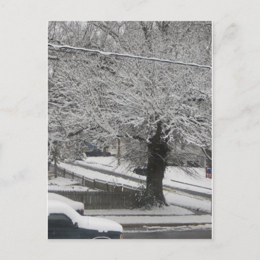 Schneeszene Postkarte (Vorderseite)