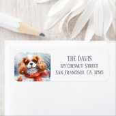 Schneetag Cavalier King Charles mit Schal (Insitu)