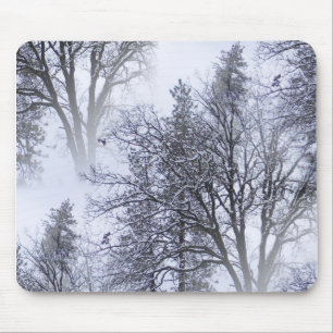 Schneetag in den Bäumen... Mousepad