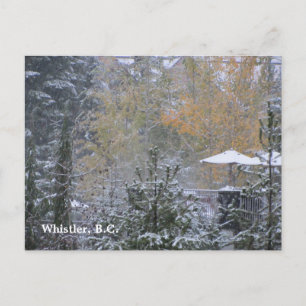 Schneetag in Whistler B.C. Postkarte