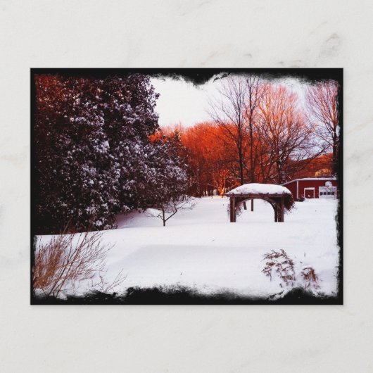 Schneetag Vermont 2011 Postkarte (Vorderseite)