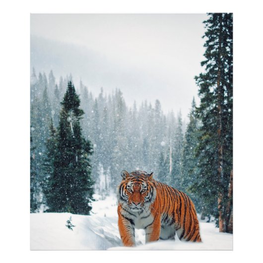 Schneetiger Fotodruck (Vorne)