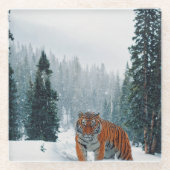 Schneetiger Glasuntersetzer (Vorderseite)