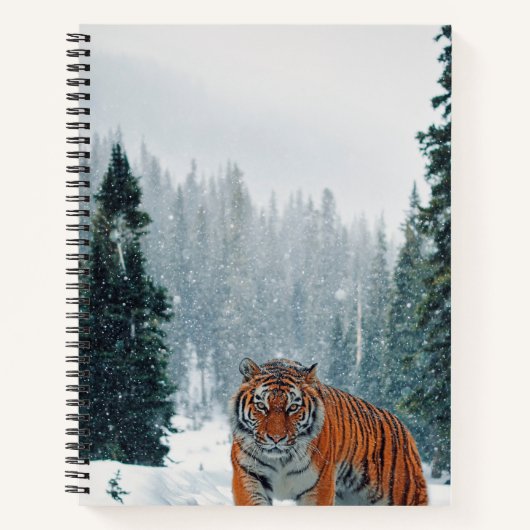 Schneetiger Notizblock (Vorderseite)