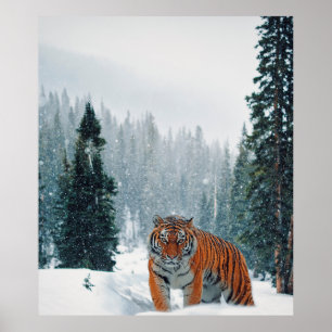 Schneetiger Poster