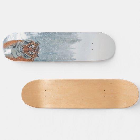 Schneetiger Skateboard (Horizontal)