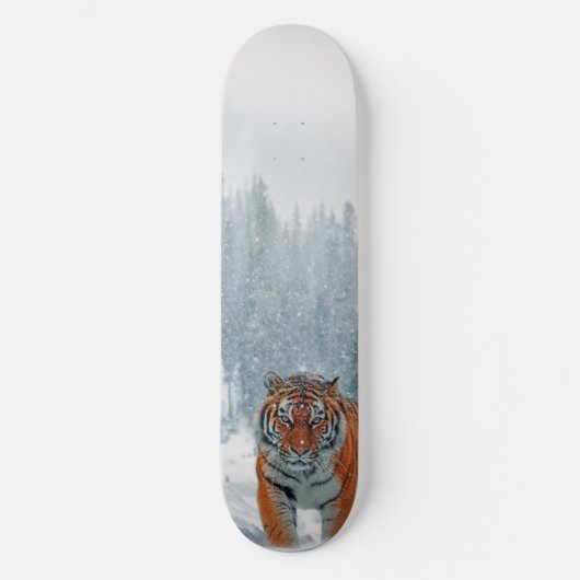Schneetiger Skateboard (Vorderseite)