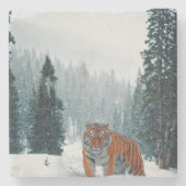 Schneetiger Steinuntersetzer (Vorderseite)