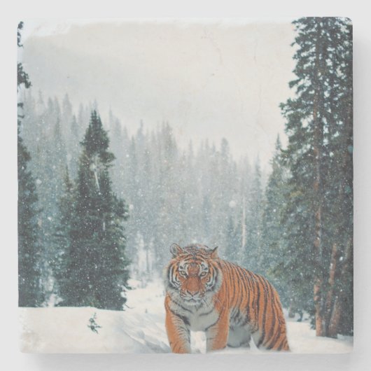 Schneetiger Steinuntersetzer (Vorderseite)