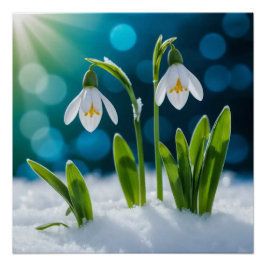 Schneeverfahren #1 Wall Art Poster