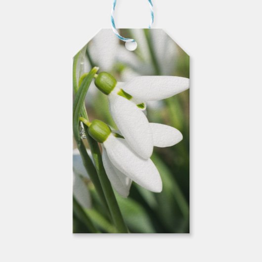 Schneeverfahren-Blume Geschenkanhänger (Vorderseite)