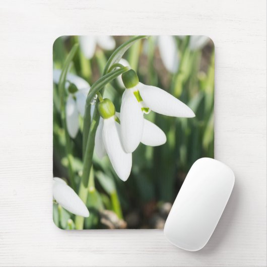 Schneeverfahren-Blume Mousepad (Mit Mouse)