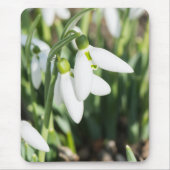 Schneeverfahren-Blume Mousepad (Vorne)