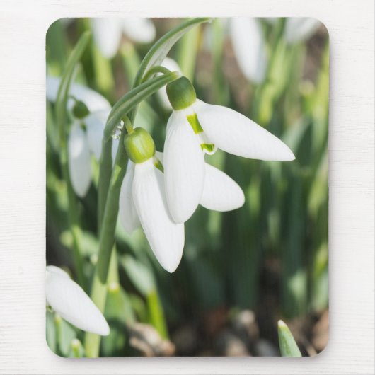 Schneeverfahren-Blume Mousepad (Vorne)